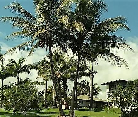 Island Goode'S - Luxury Adult Only Accommodation Near Hilo Papaikou Esterno foto
