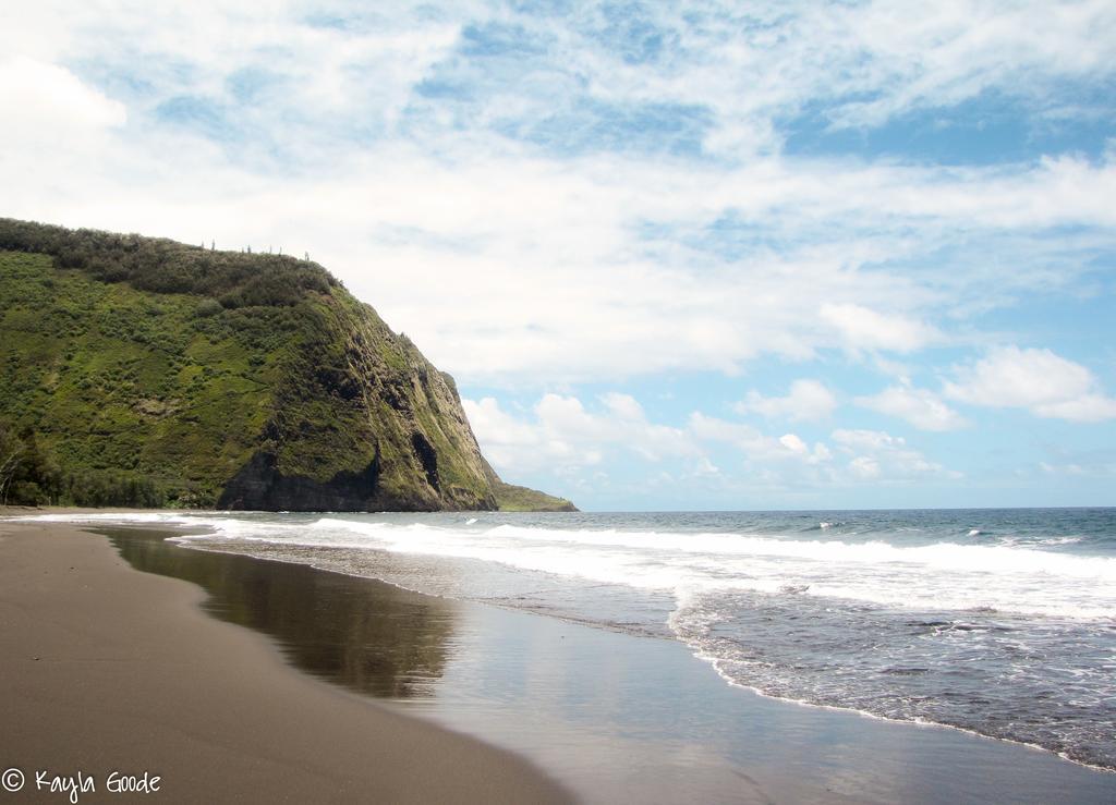 Island Goode'S - Luxury Adult Only Accommodation Near Hilo Papaikou Esterno foto