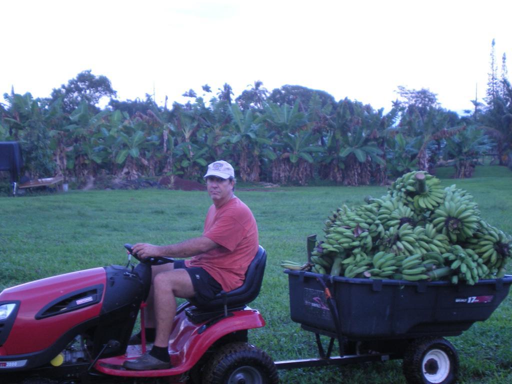 Island Goode'S - Luxury Adult Only Accommodation Near Hilo Papaikou Esterno foto