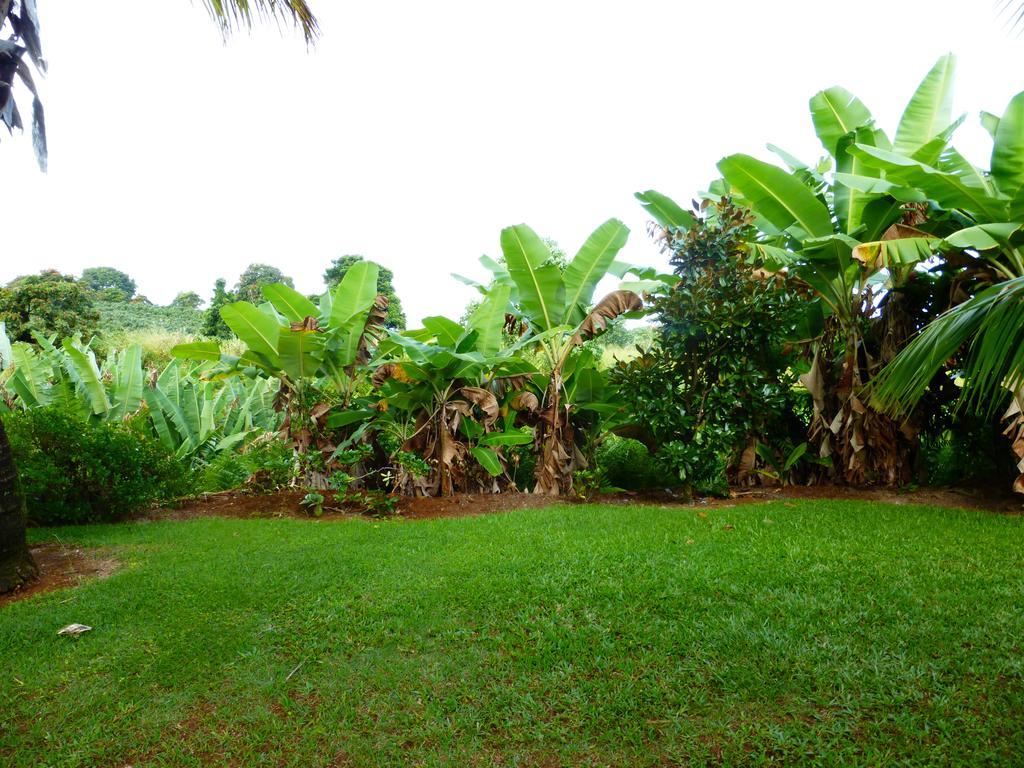 Island Goode'S - Luxury Adult Only Accommodation Near Hilo Papaikou Esterno foto