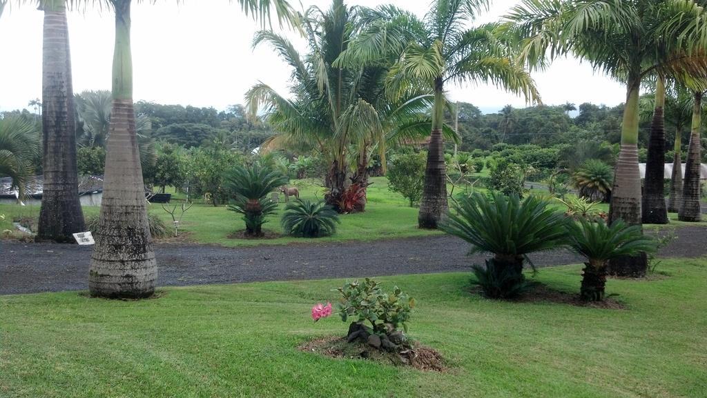 Island Goode'S - Luxury Adult Only Accommodation Near Hilo Papaikou Esterno foto