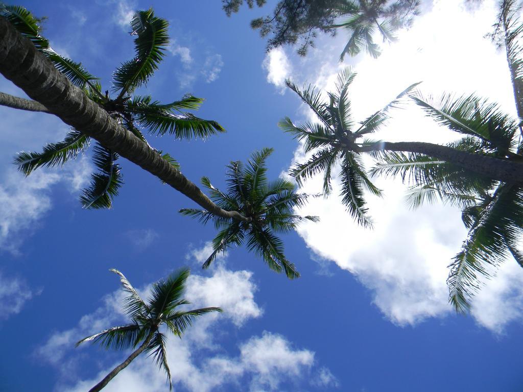 Island Goode'S - Luxury Adult Only Accommodation Near Hilo Papaikou Esterno foto