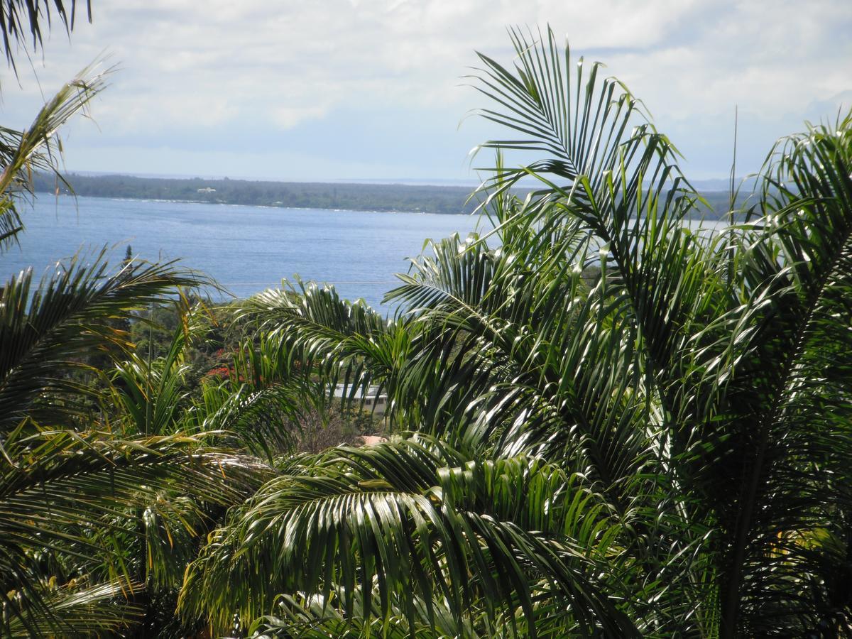 Island Goode'S - Luxury Adult Only Accommodation Near Hilo Papaikou Esterno foto