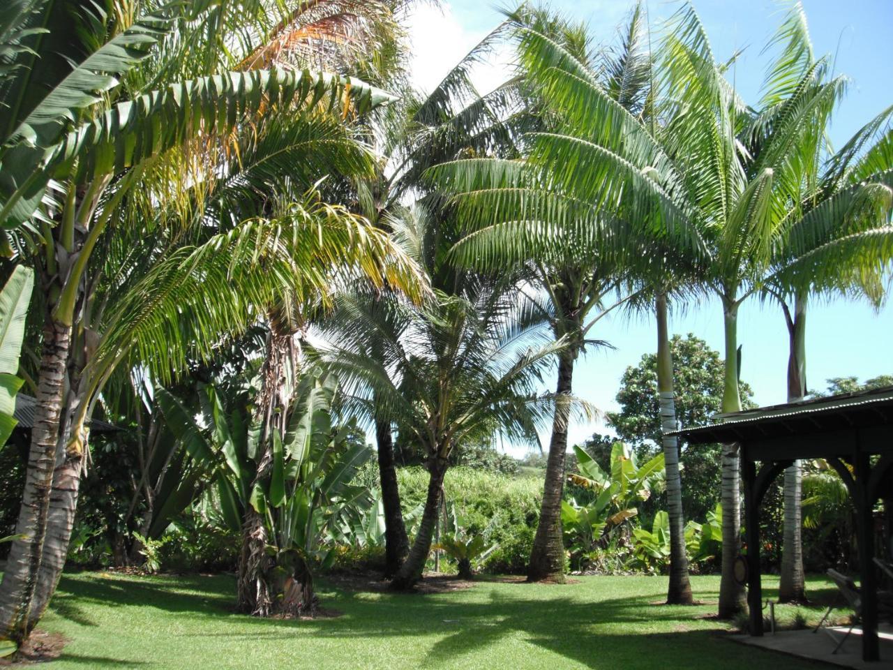 Island Goode'S - Luxury Adult Only Accommodation Near Hilo Papaikou Esterno foto