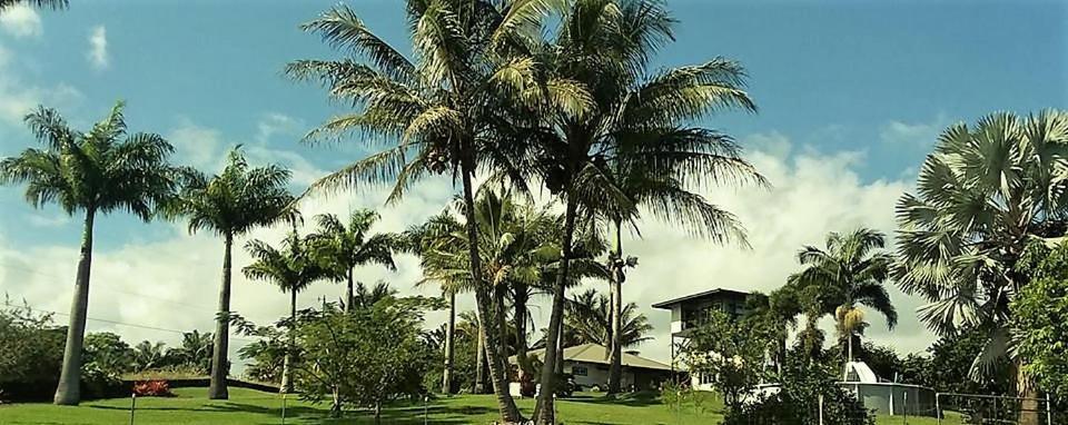 Island Goode'S - Luxury Adult Only Accommodation Near Hilo Papaikou Esterno foto